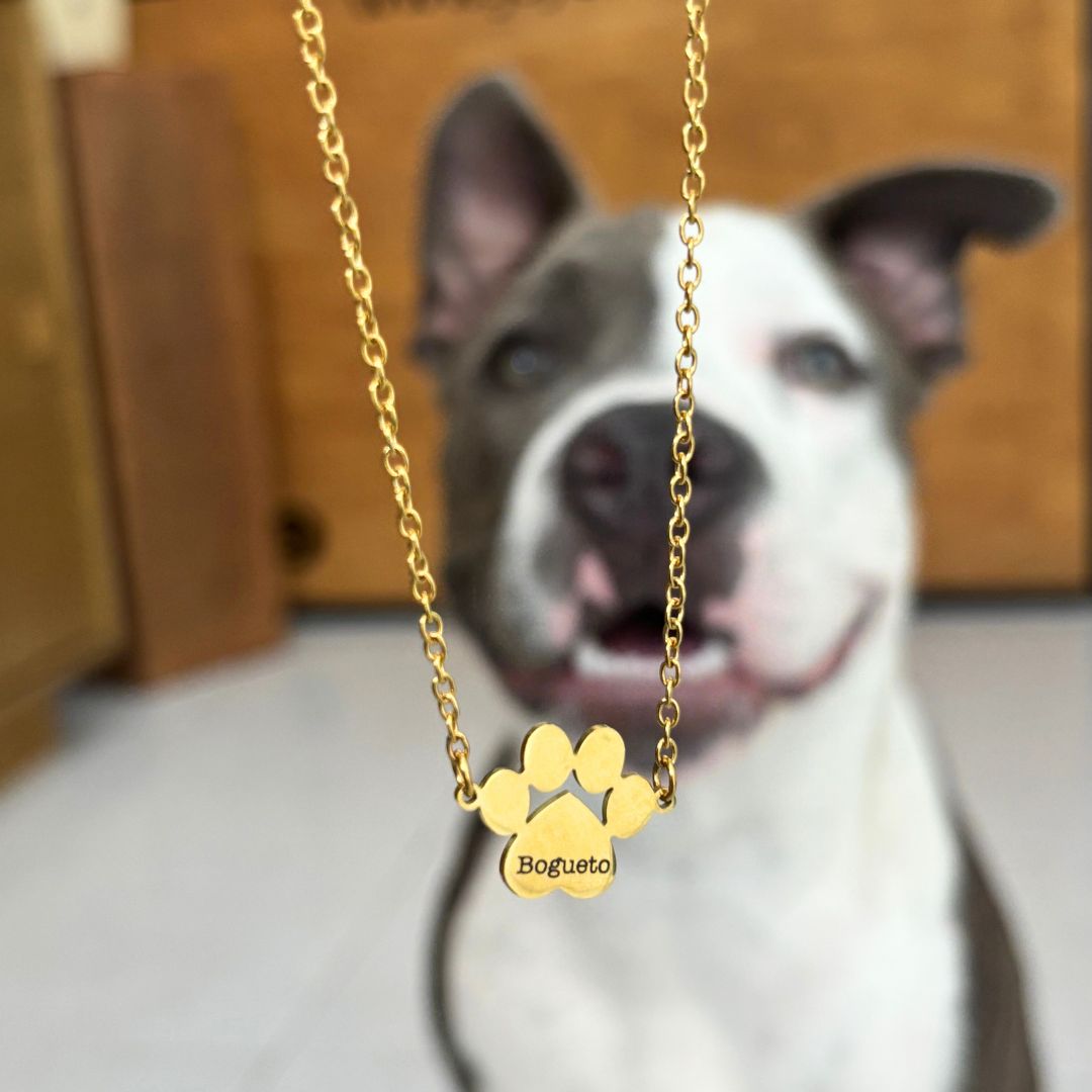 Collar Mi Huellita