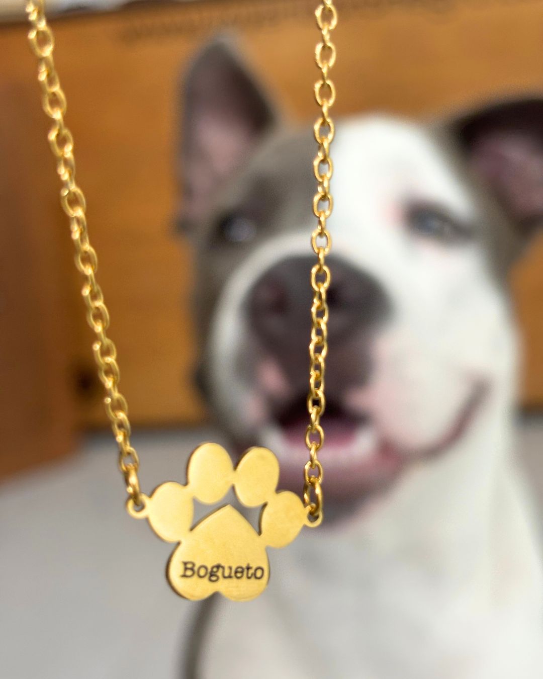 Collar Mi Huellita